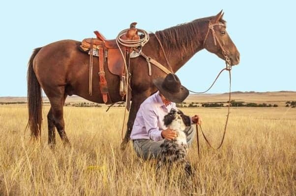 western-cowboy-dog-names