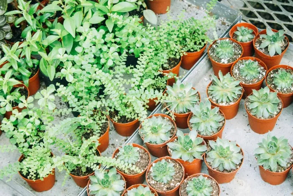 20 Best Ideas for a Small-Town Business