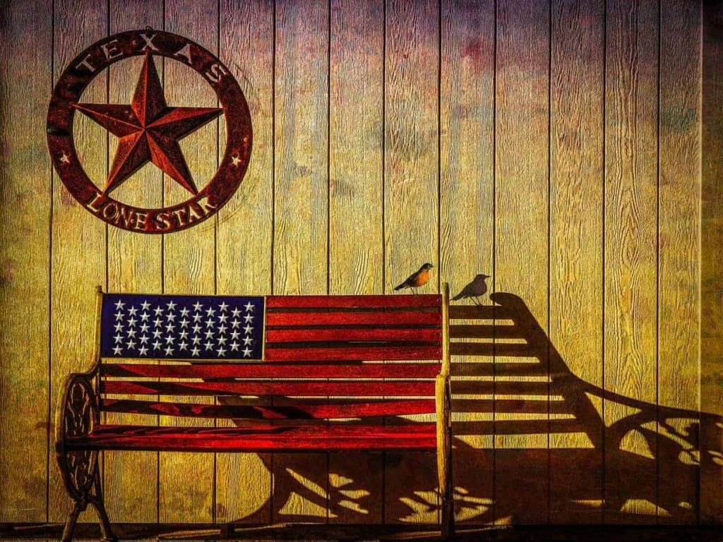 Western Rustic Decor has Decorative Attributes. Texas Made, Texas Design Metal Art Decor.
