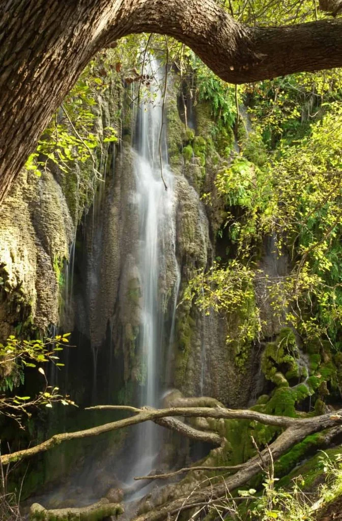 Gorman Falls