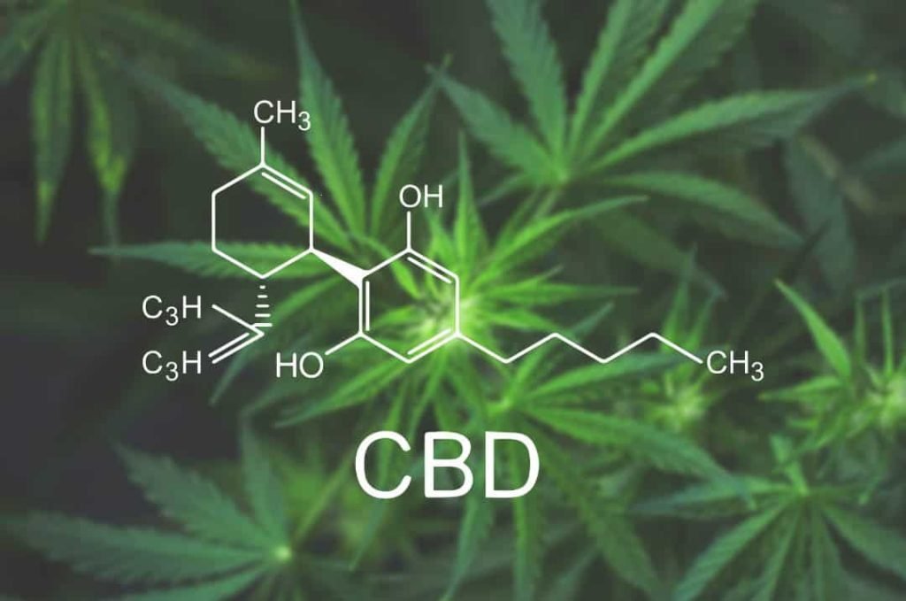 CBD Oil has Low Toxicity Rate