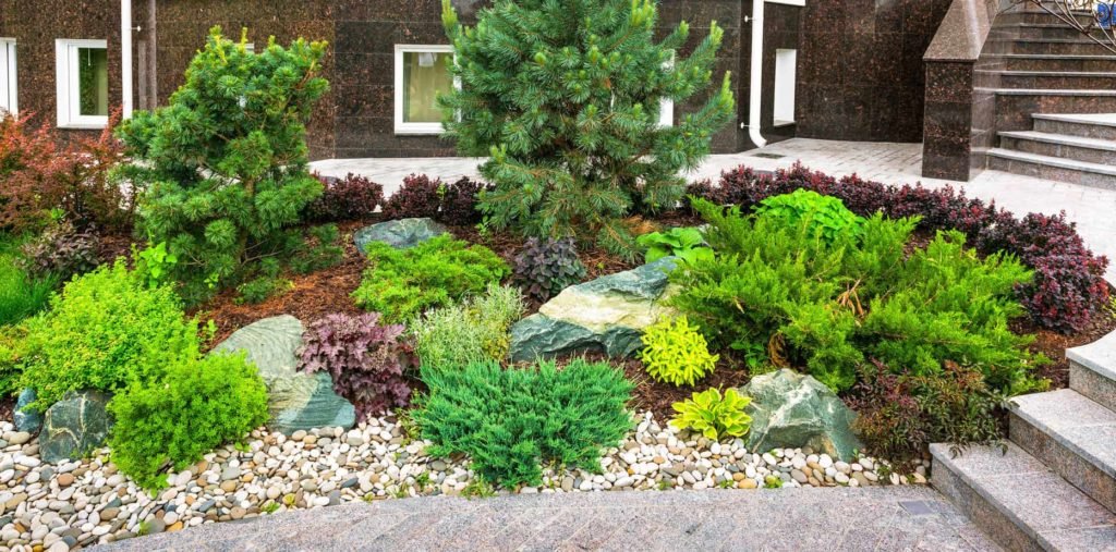 Xeriscape for better property values
