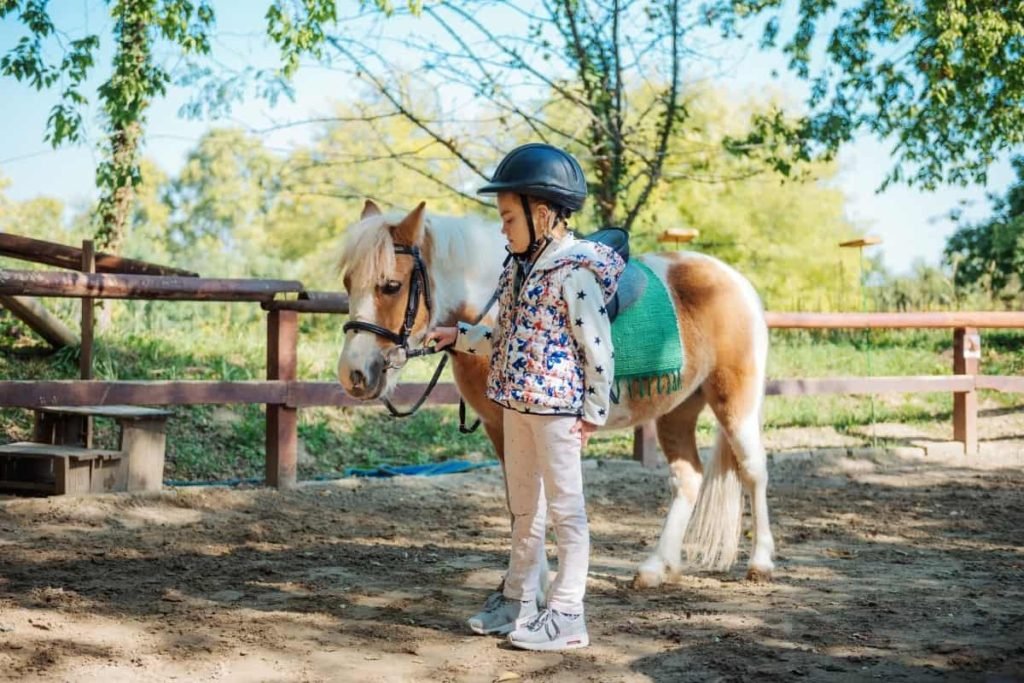 best-horse-breed-for beginner-child