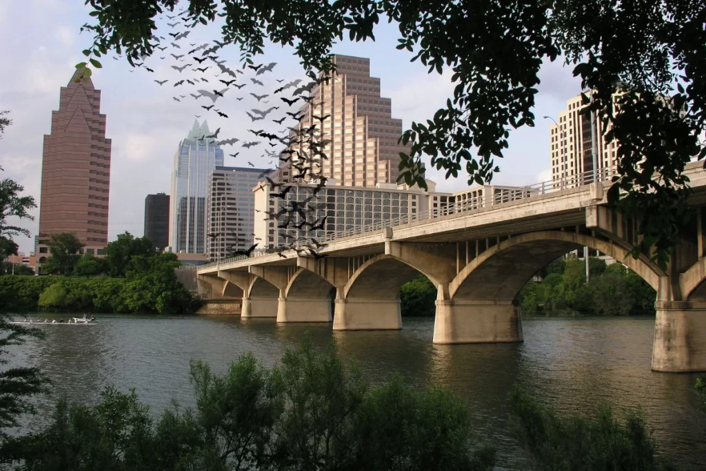 30 Things Only True Austinites Know