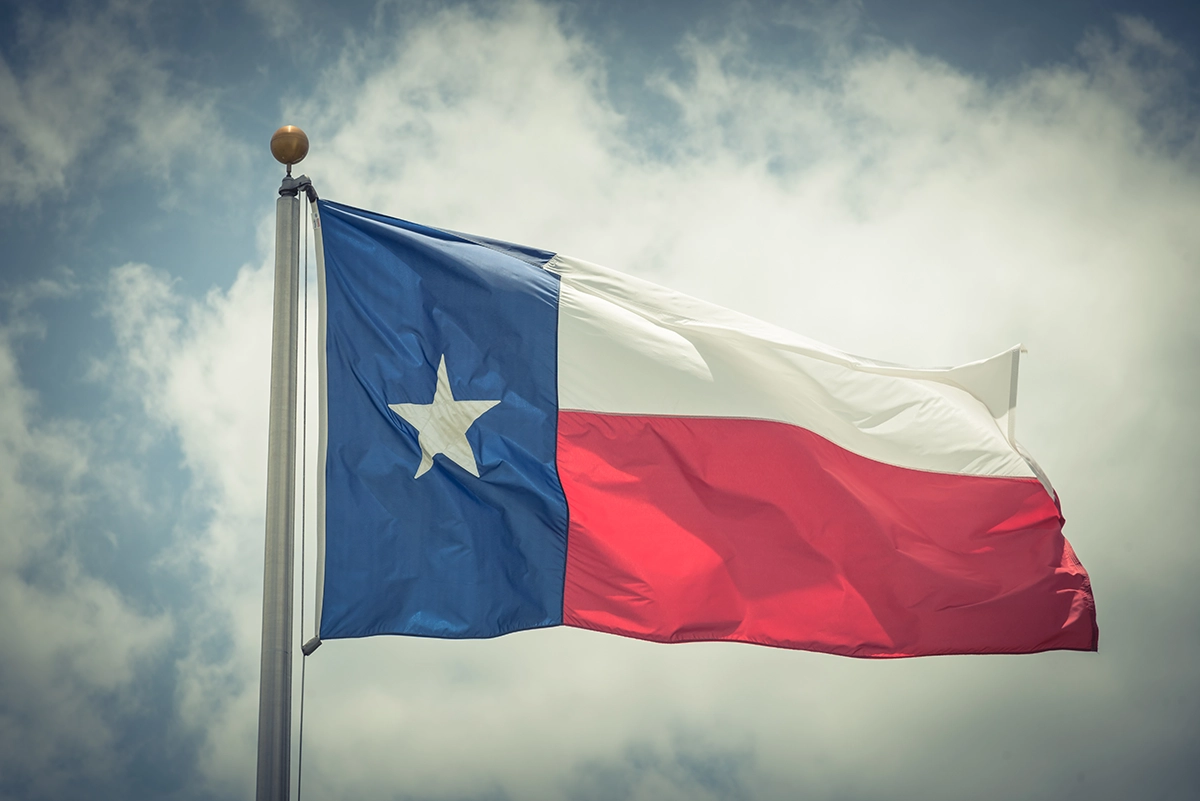 The Flag of Texas