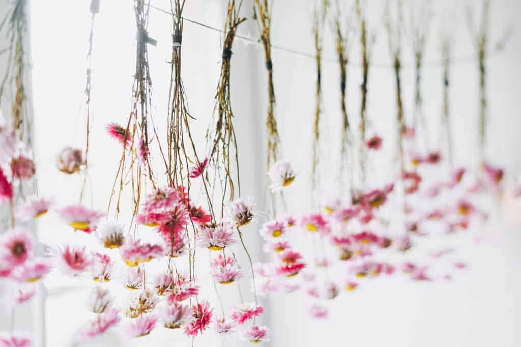 Farmhouse Pink Flowers Drying on a Rope