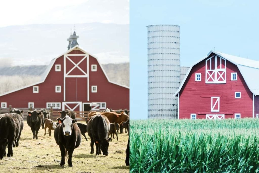 ranch vs farm
