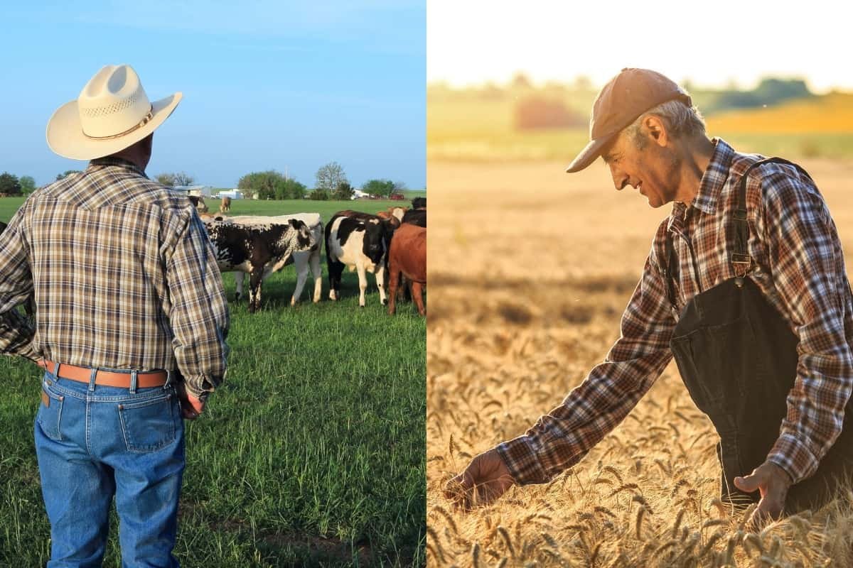 Ranch Vs Farm | What’s the Difference? | TEXINI