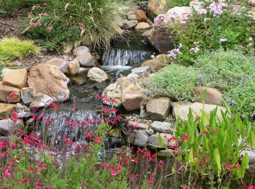Texas Roots Native Texas Plants | Xeriscape | Texini | The Lone Star Lifestyle