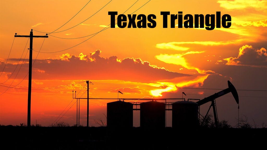 News and Reviews | Texas Triangle | Texini