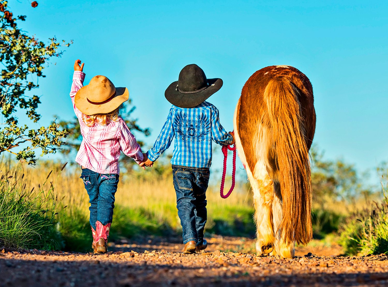 young cowgirl and cowboy