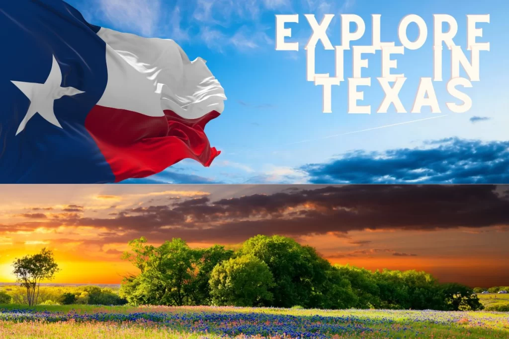 | Explore Life in Texas | Texini